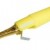 Krokosvorka izolovaná na banánik žltá