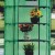 Parenisko Greenhouse – 70 x 50 x 200 cm (5 poličiek)
